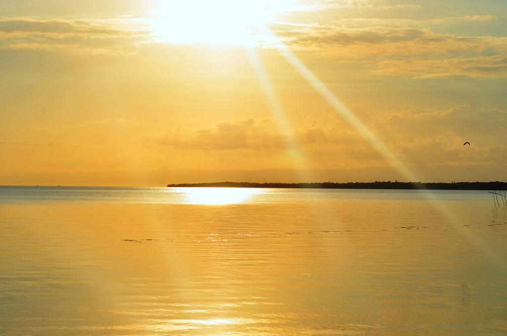 Isla Hayahay Beach Resort And Restaurant Calape Buitenkant foto