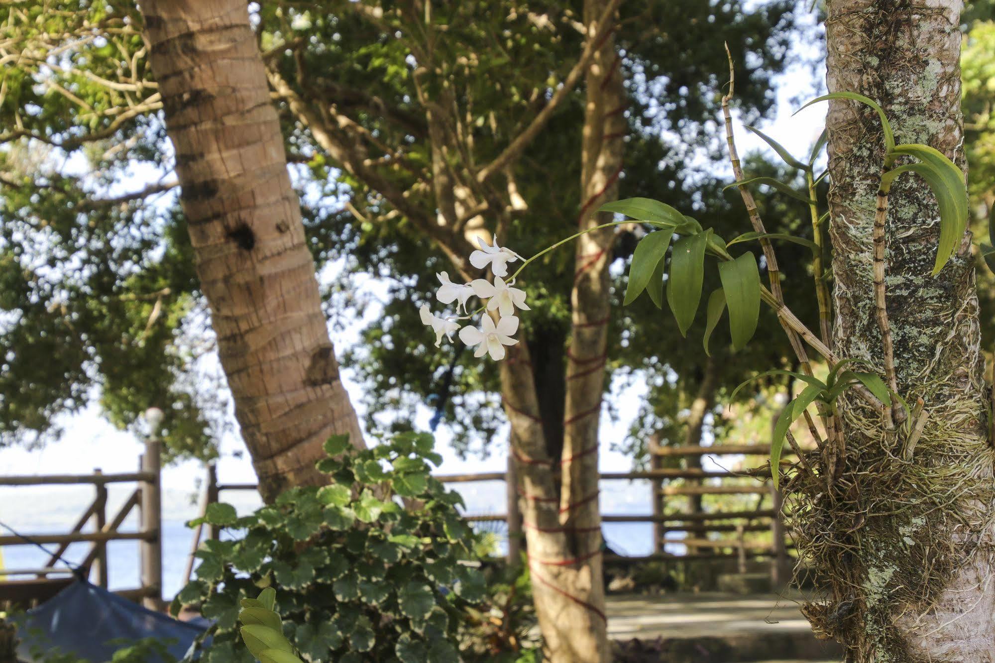 Isla Hayahay Beach Resort And Restaurant Calape Buitenkant foto